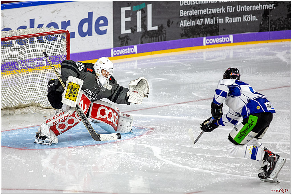 DEL; Koelner Haie - Straubing Tigers, 02.12.2018